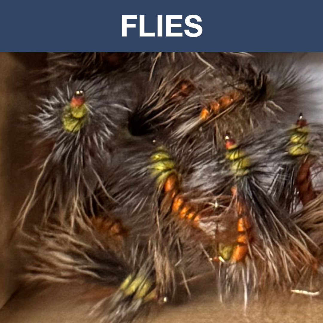 Flies