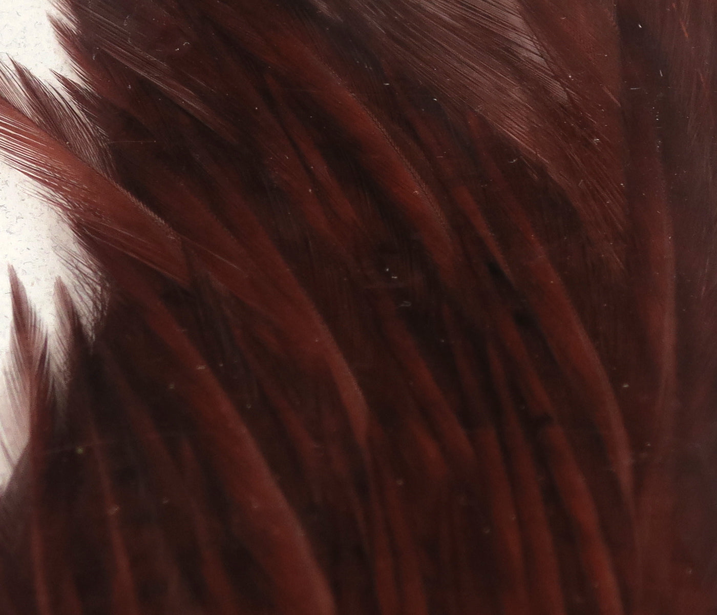 Hareline Half Rooster Capes