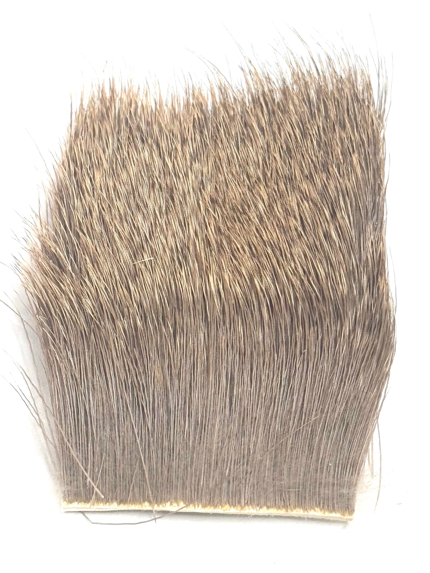 Magpie Cow Elk Patch