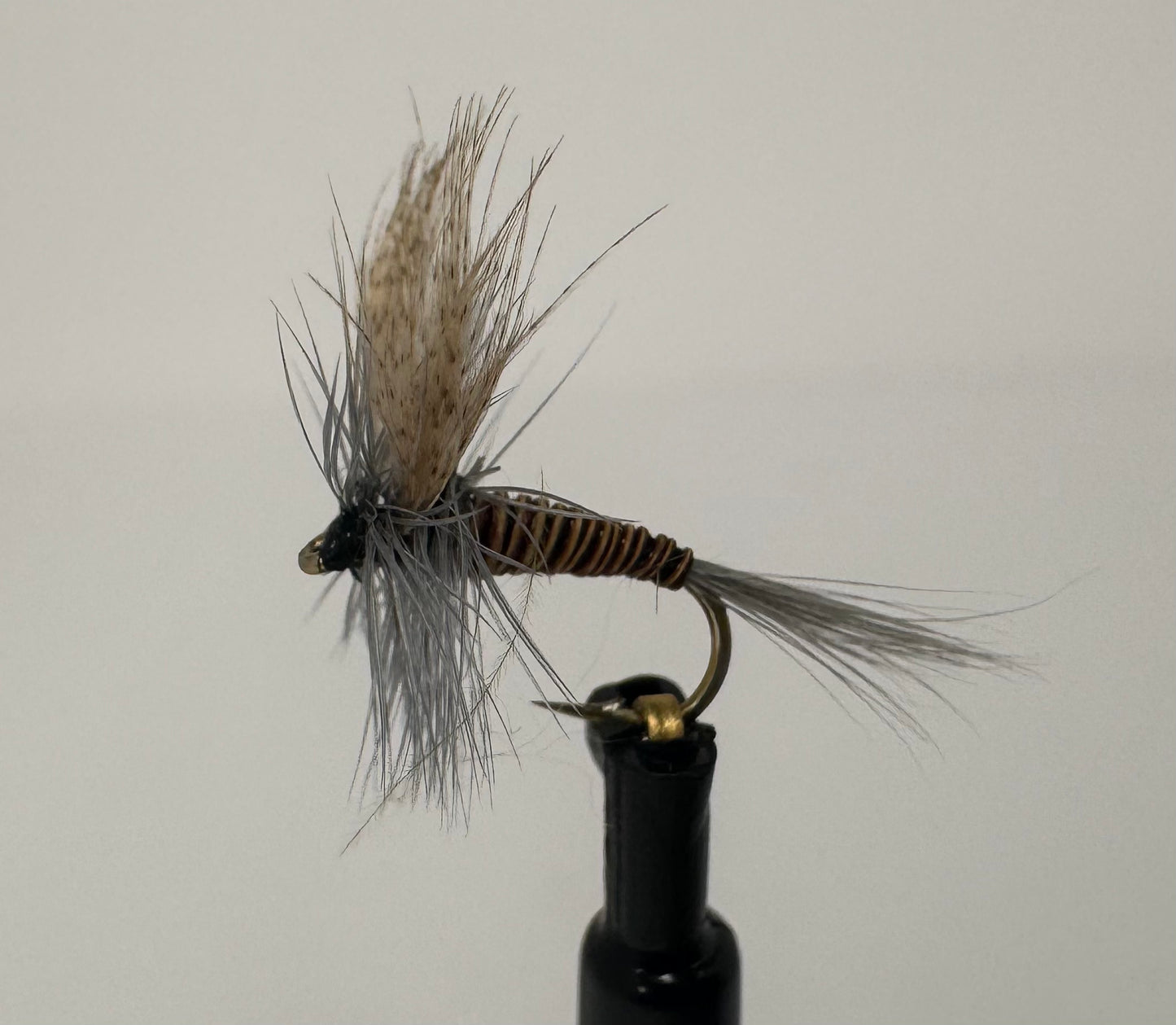 Red Quill