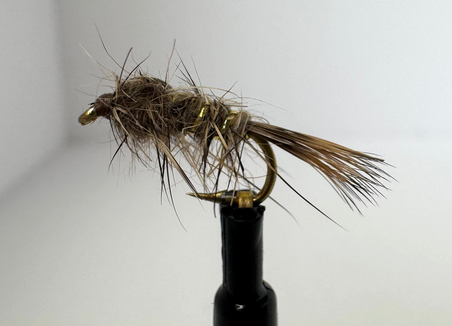 Gold Ribbed Hare's Ear Tan