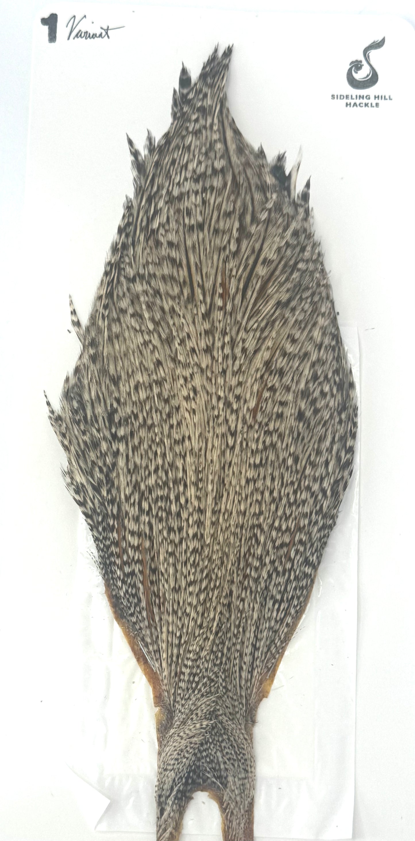Sideling Hill Hackle Grade 1 Dry Fly Neck Variant