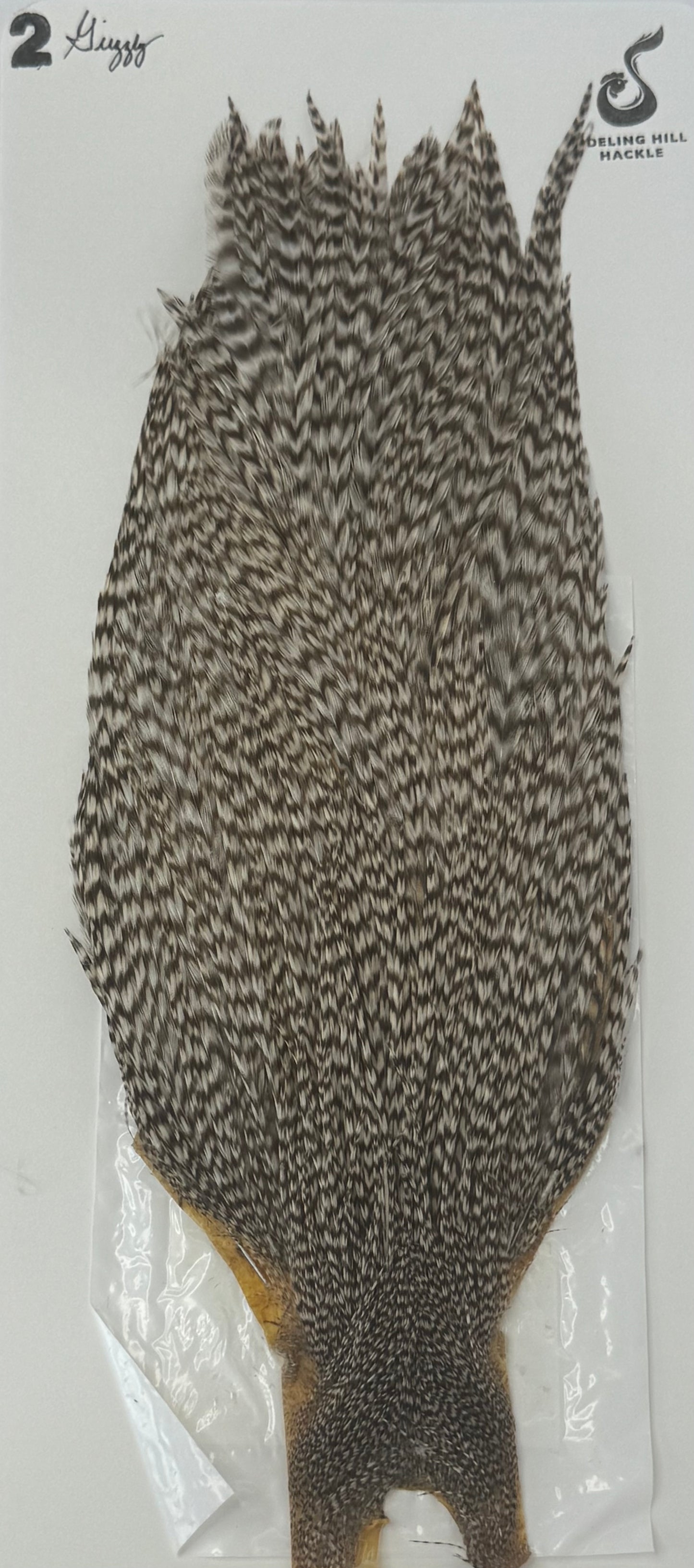 Sideling Hill Hackle Grade 2 Dry Fly Neck Grizzly