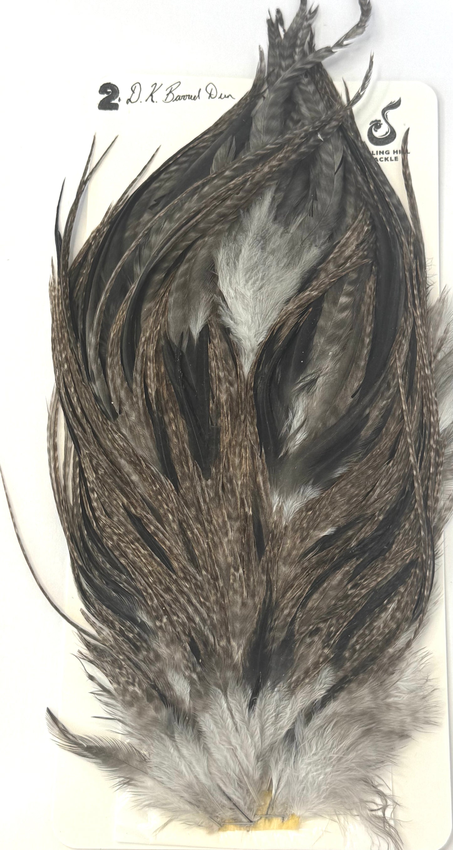 Sideling Hill Hackle Grade 2 Saddle Dark Barred Dun