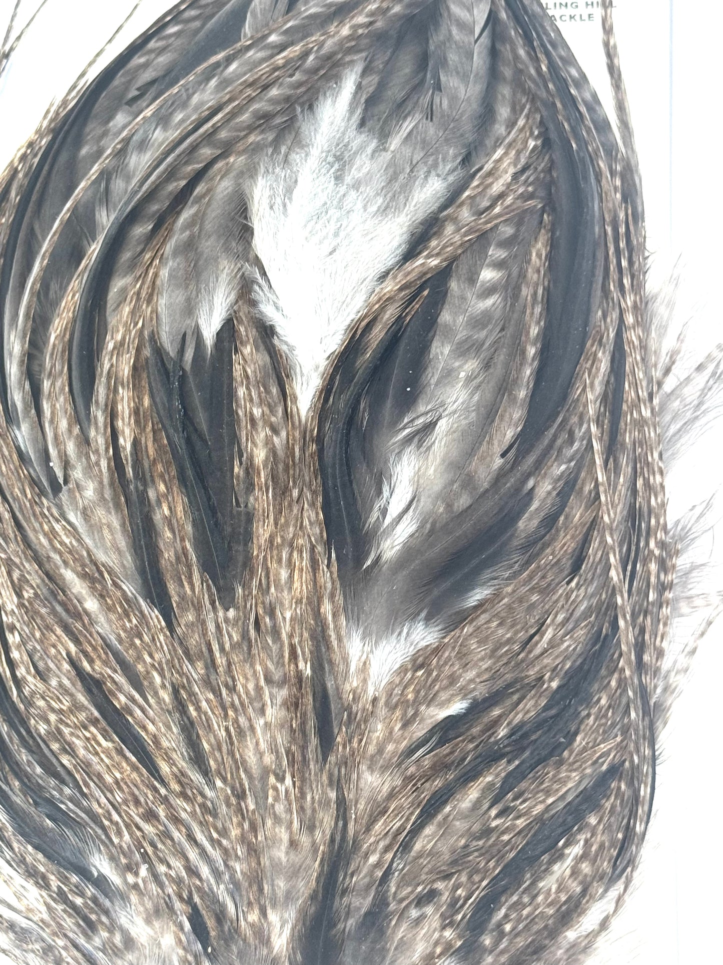 Sideling Hill Hackle Grade 2 Saddle Dark Barred Dun