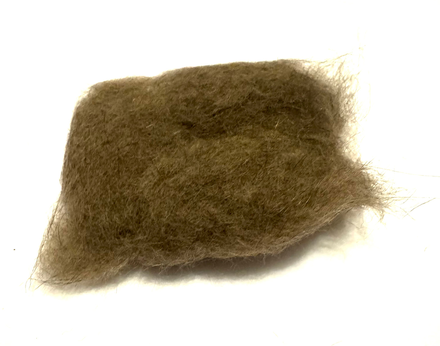 Australian Possum Dun