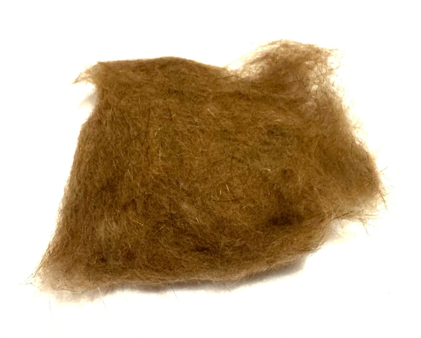 Australian Possum Ginger