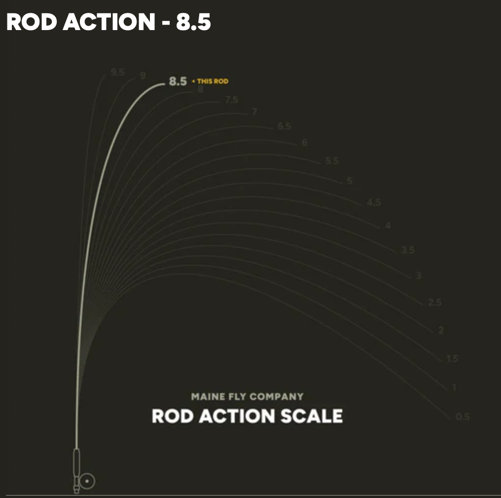 Rod Action Scale