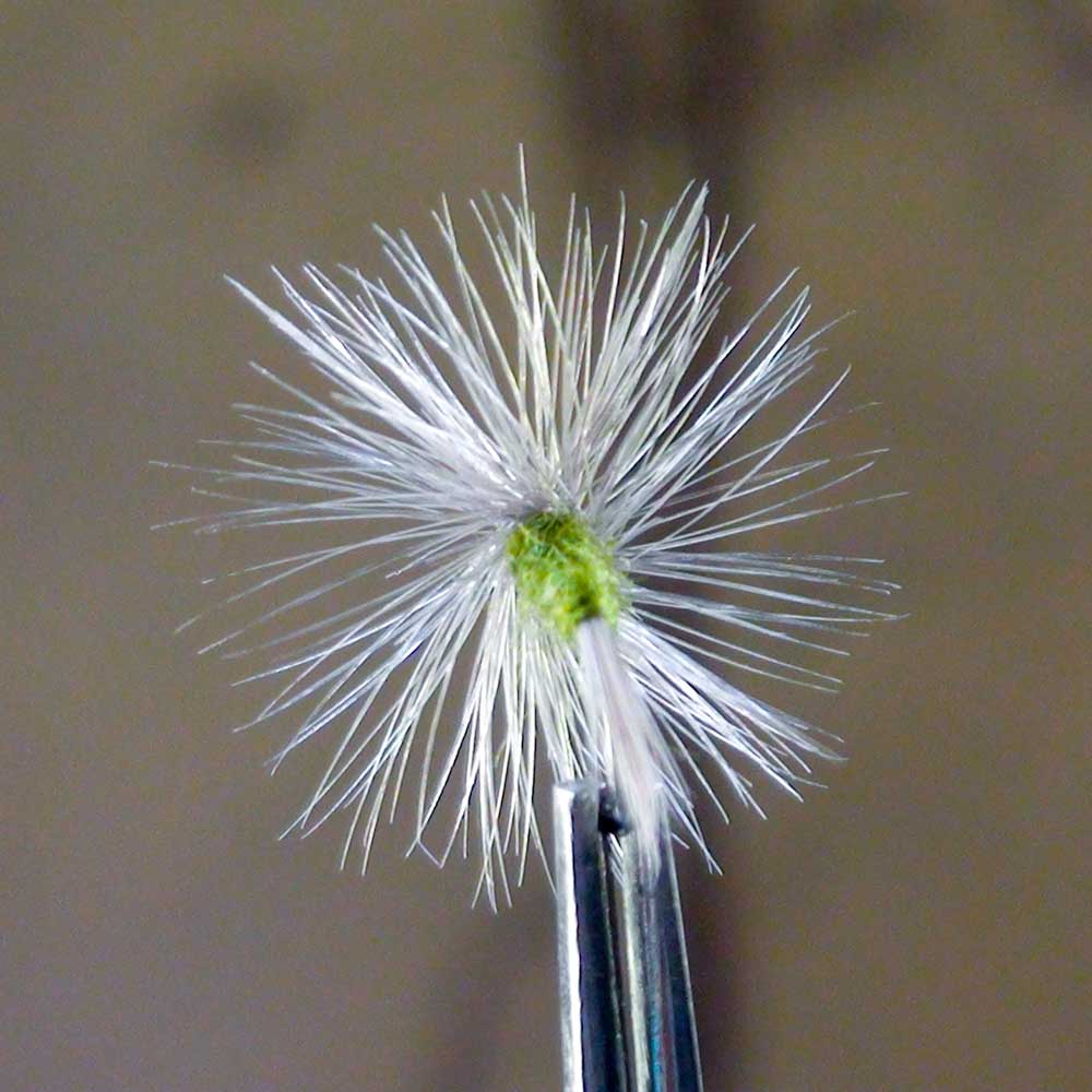 EZEYEFLY BLUE WING OLIVE