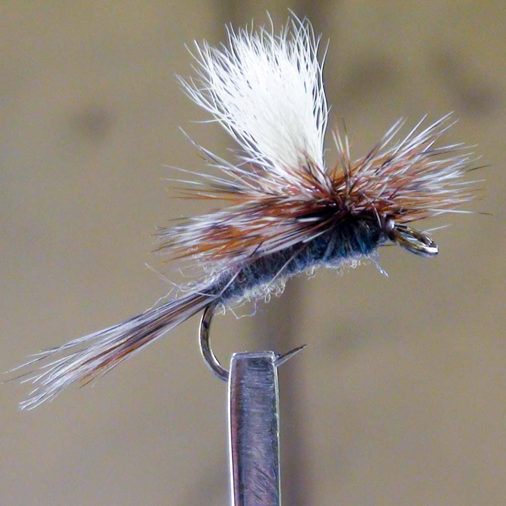 EZEYEFLY ADAMS PARACHUTE