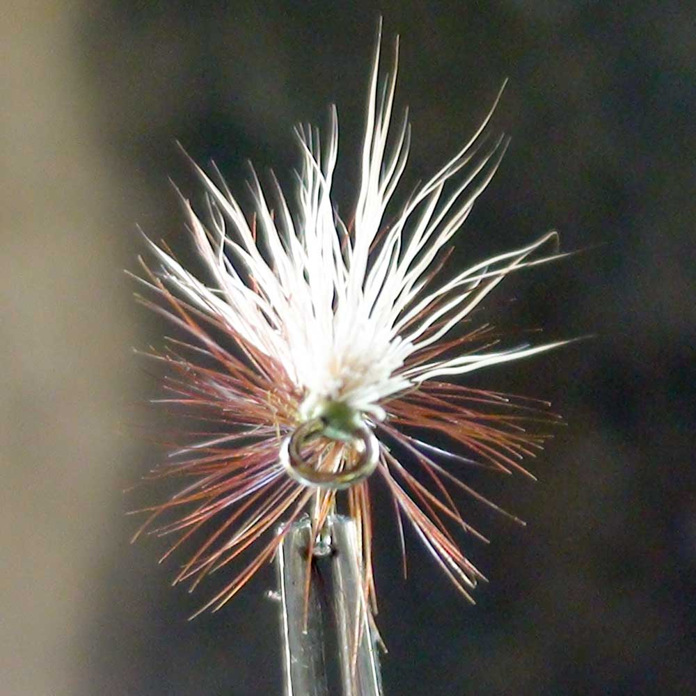 EZEYEFLY CADDIS ELK HAIR OLIVE