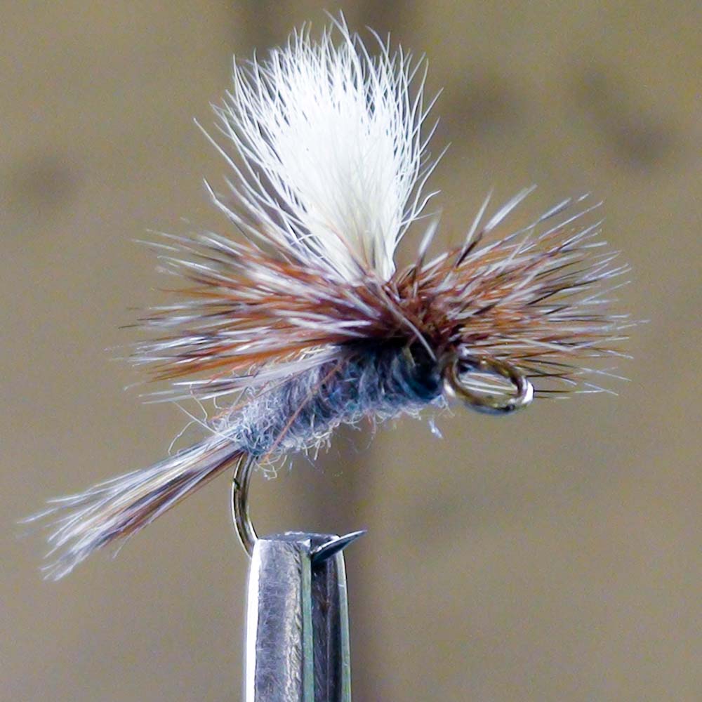 EZEEYE Flies