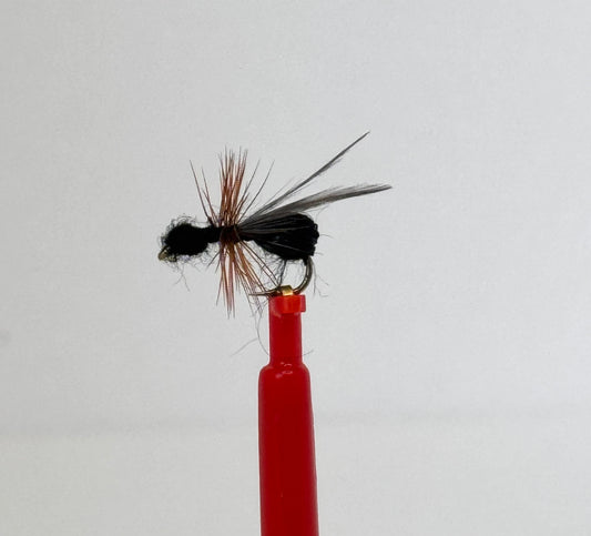 Flying Black Ant