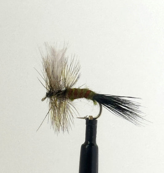 Colorado Green Drake