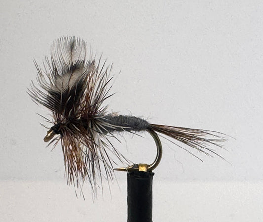Adams Fly