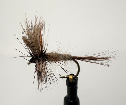 March Brown