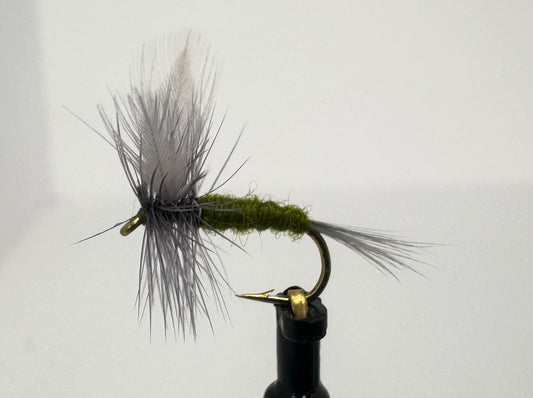 Blue Wing Olive BWO
