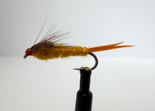 Golden Stonefly
