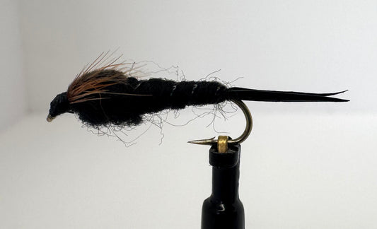 Black Stonefly