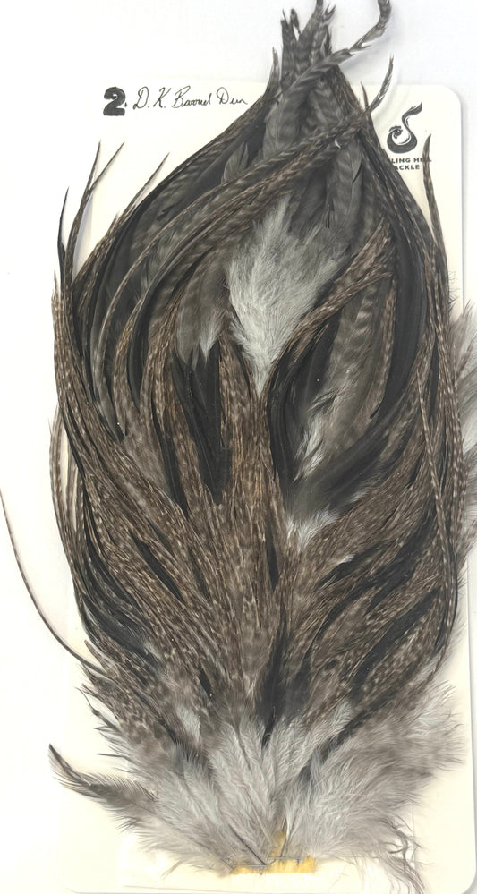 Sideling Hill Hackle Grade 2 Saddle Dark Barred Dun