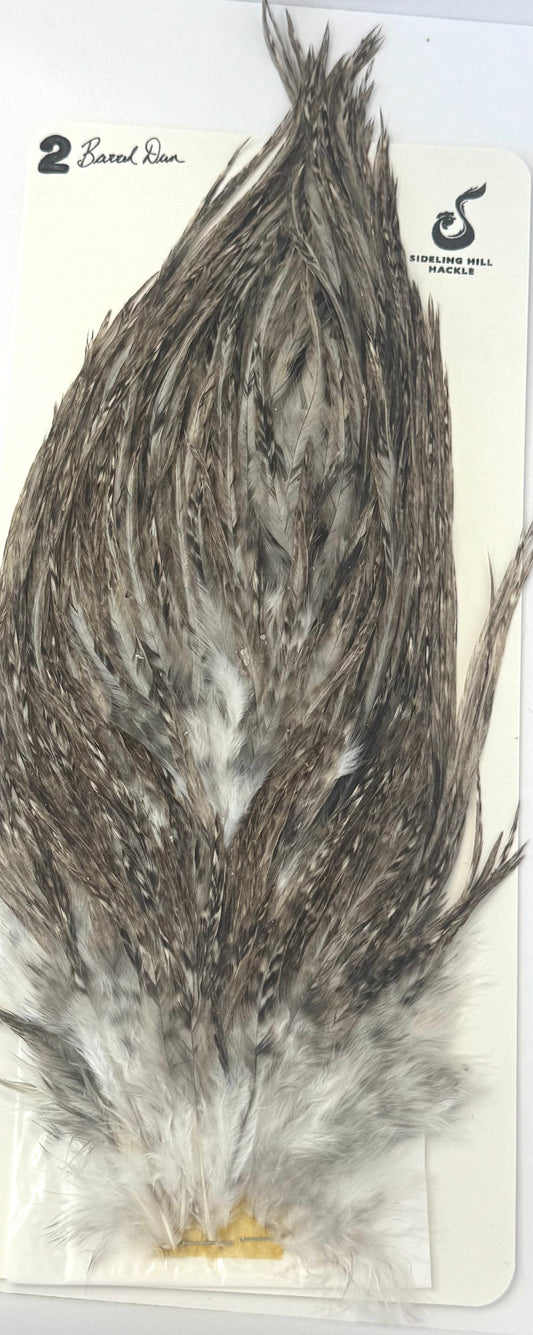 Sideling Hill Hackle Grade 2 Saddle Barred Dun