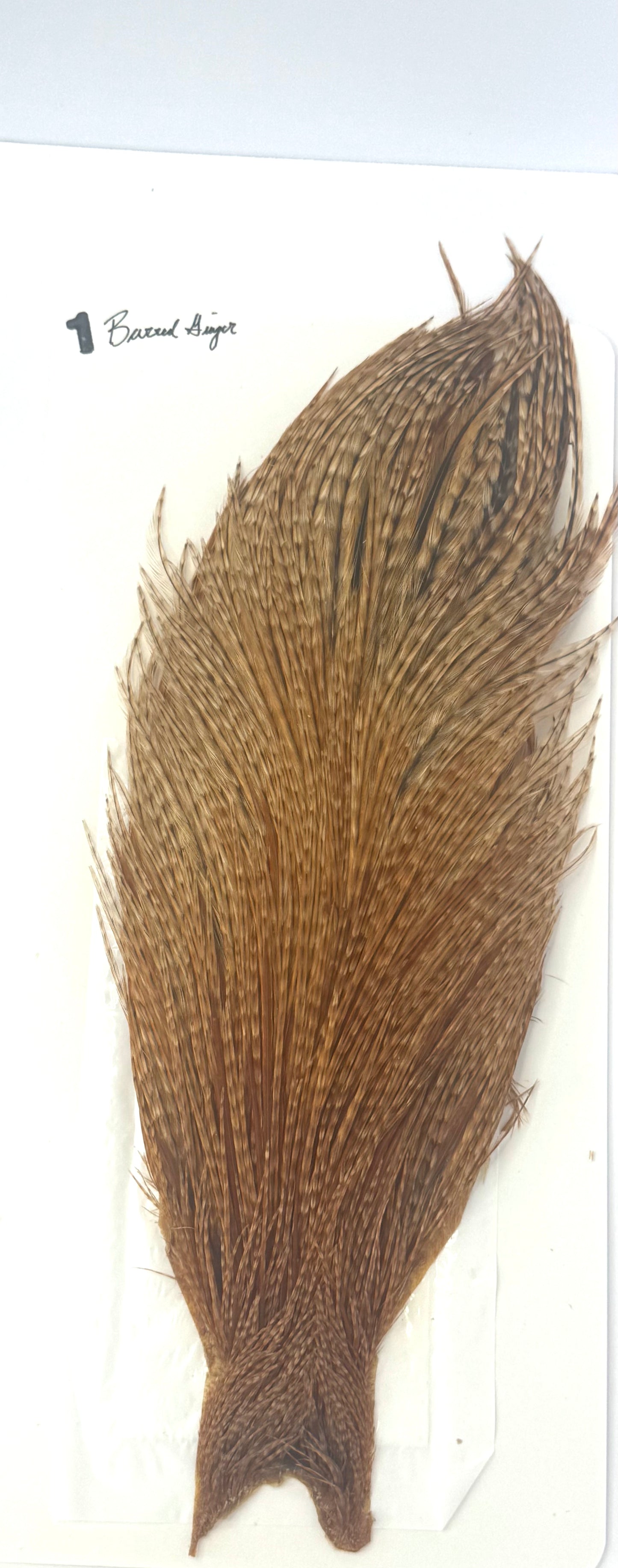 Dry Fly Neck Barred Ginger