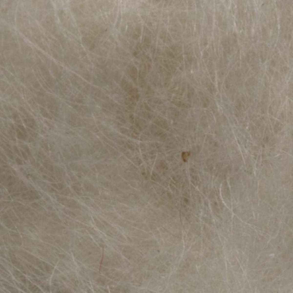 SEMPERFLI KAPOK DUBBING