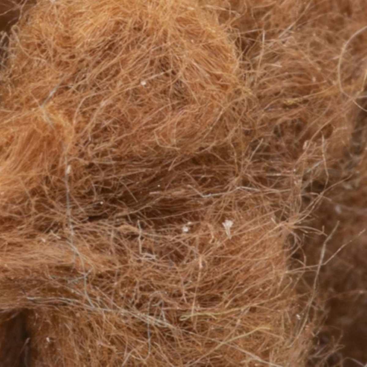 SEMPERFLI KAPOK DUBBING