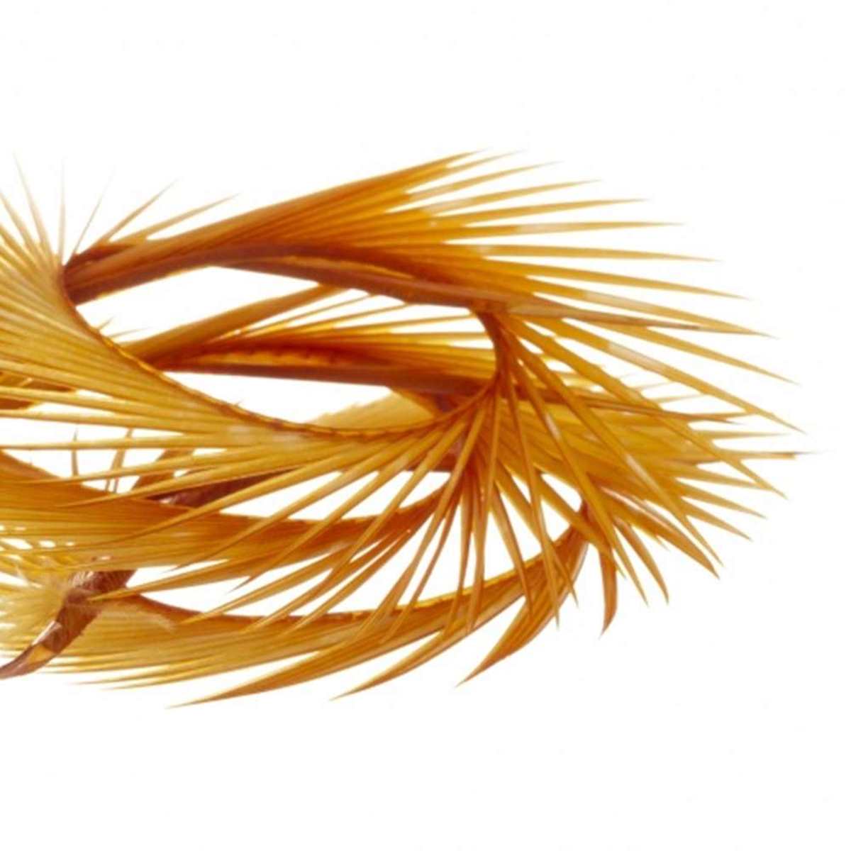 SEMPERFLI NATURAL RANGE GOOSE BIOTS