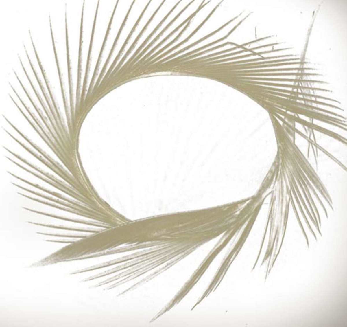 SEMPERFLI NATURAL RANGE GOOSE BIOTS